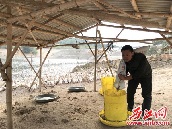 郭海锋正在农场忙碌。 西江日报记者 夏紫怡 摄