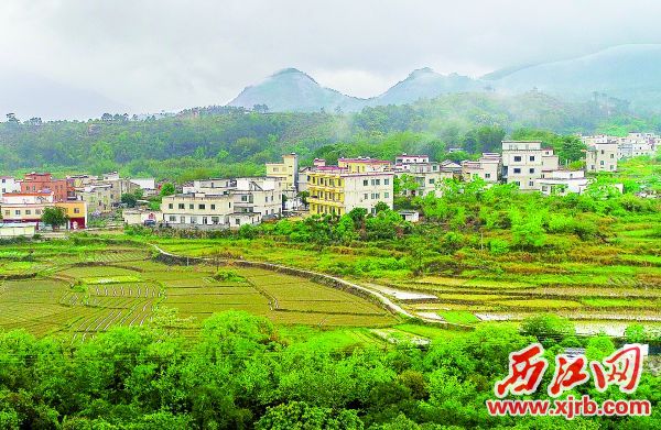改造后的封开县杏花镇凤楼村营造一村一景的特色风貌。