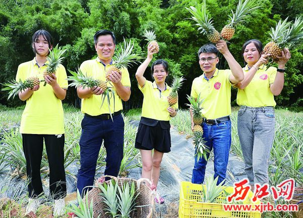 “封味购”团队为裕丰村的神湾菠萝“带货”。