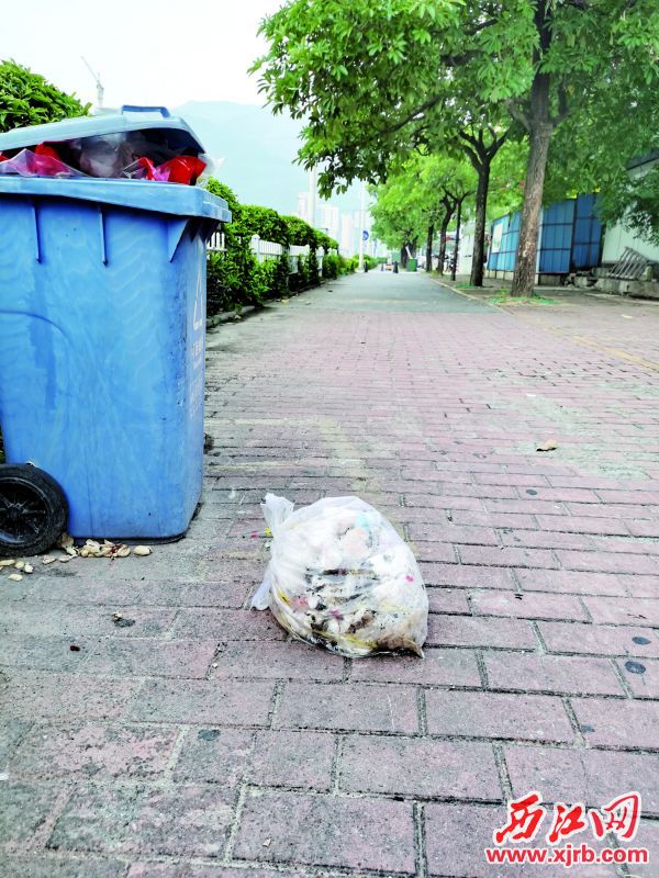 东岗东路一个垃圾桶前，随地
乱扔着部分生活垃圾。