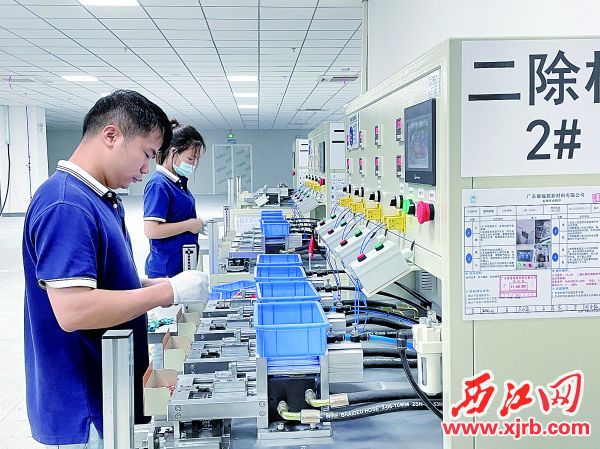 生产线上工人正在忙碌着，生产设备也多为公司自主开发设计。 西江日报记者 陈明红 摄