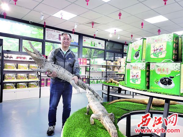 展厅内鳄鱼产品丰富多样，并有多条鳄鱼标本展示。