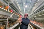 封开县智诚家禽育种有限公司 保护杏花鸡种群 打响广东名鸡品牌