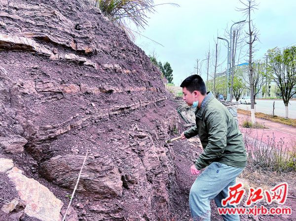 倪子杰经常到野外寻找化石。 受访者供图
