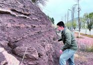 熱衷研究石頭的化石迷弟