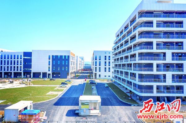 肇庆新区电子信息产业园建设快马加鞭。 西江日报记者 何饶镔 摄