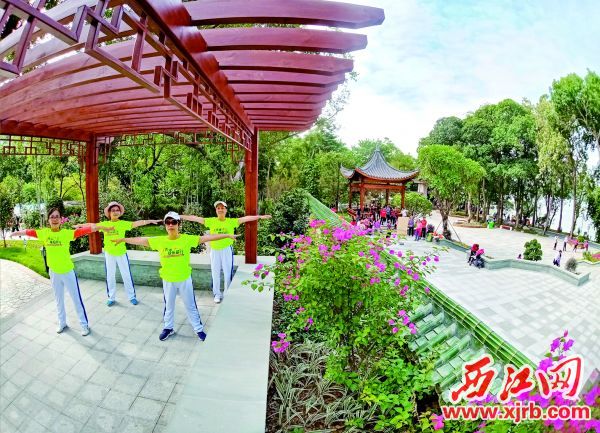 市民在长者公园健身游玩。西江日报记者  梁小明  摄