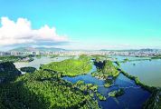 肇慶市生態環境局：以法治建設為引領 不斷優化企業綠色服務