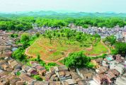 高要優化生態環境建設美麗鄉村