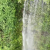 太壯觀了！肇慶發現一處隱秘的森林瀑布，航拍視頻流出......