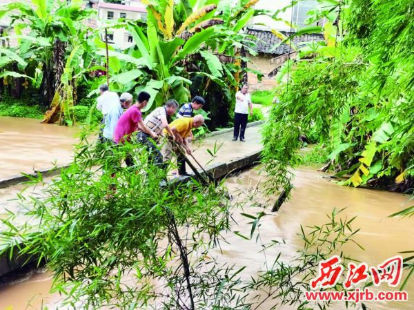 怀集汶朗镇华新村村干部在疏通河道障碍。 西江日报通讯员 供图