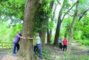 nba虎扑篮球：植物园入选省级森林生态综合示范园 古木参天揽胜 森林旅游新星