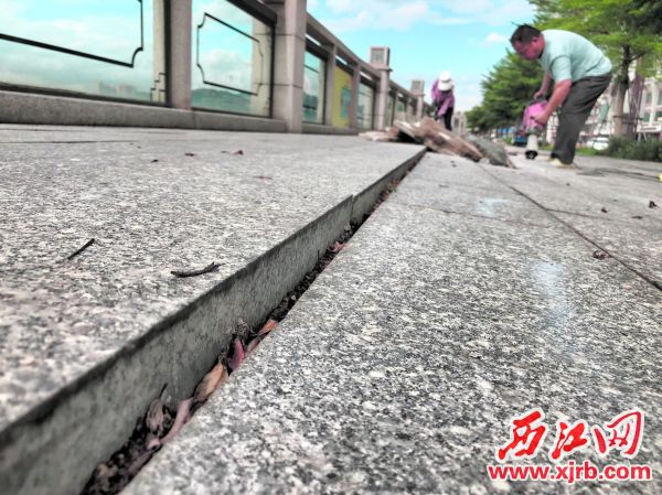 部分地磚拱起明顯。 西江日報記者 楊永新 攝