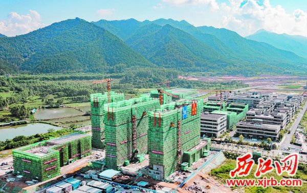 8月15日，端州双龙产业园保障性租赁住房工程（一期）项目封顶。                                             西江日报记者 曹笑 摄