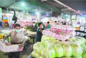 江南市场日供蔬菜逾8000吨超市肉菜备货量为平日2-3倍 端州全力稳住市民“菜篮子”“肉盘子”