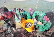 “美麗漁場”建設助力產業振興